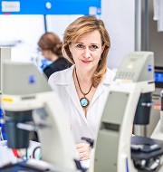 Zikova
