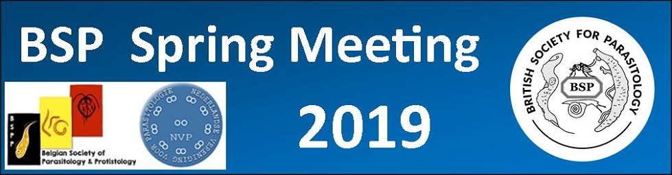 BSP Spring Meeting 2019