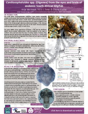 Poster 5