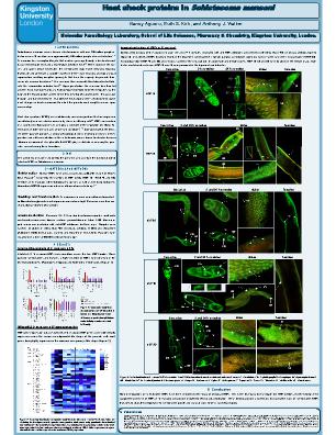 Poster 7