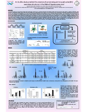 Poster 8
