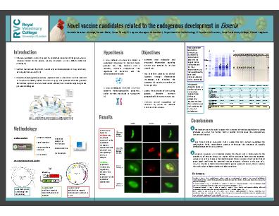 Poster 33