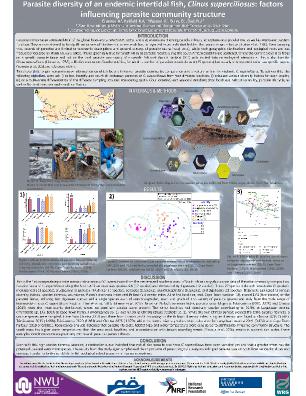 Poster 29