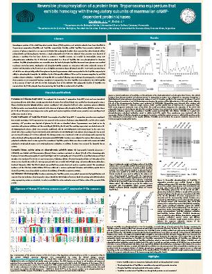 Poster 25