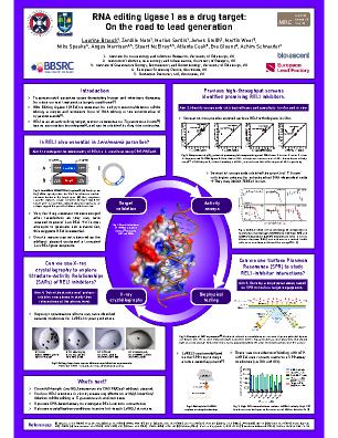 Poster 41