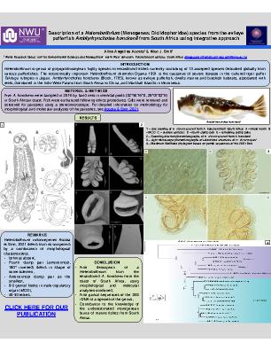 Poster 94