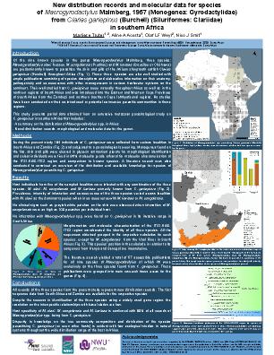 Poster 131