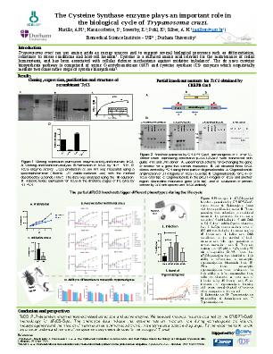 Poster 39