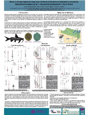 Poster 110