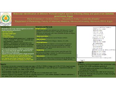 Poster 19