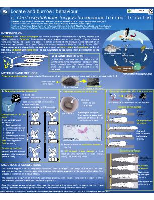 Poster 98
