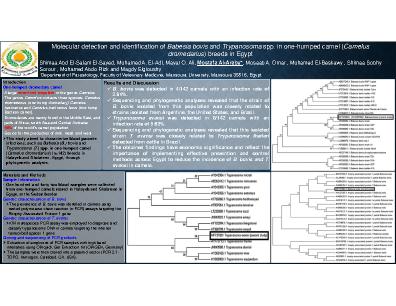 Poster 20