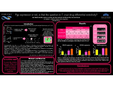 Poster 36