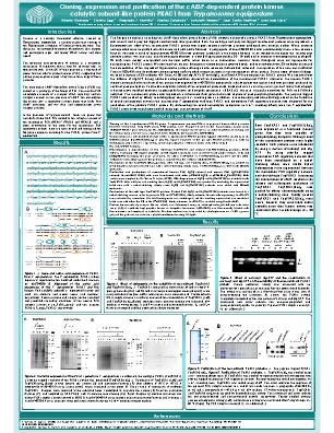 Poster 54