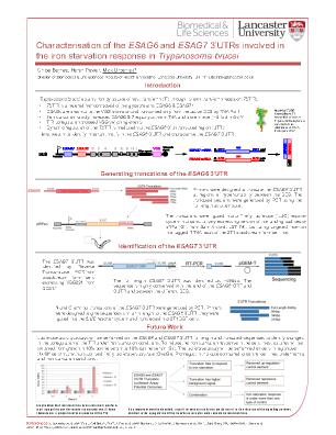 Poster 37