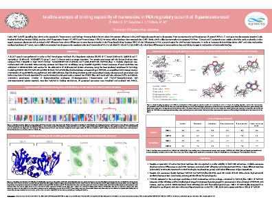 Poster 61