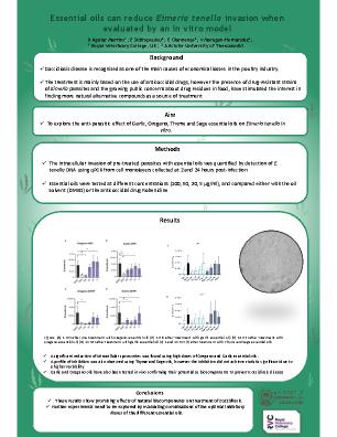 Poster 62