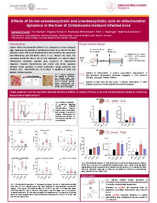 Poster 63