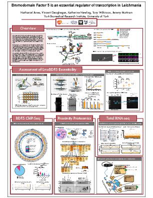 Poster 113