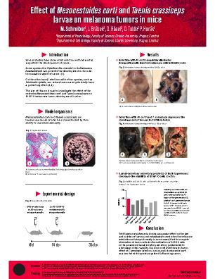Poster 49
