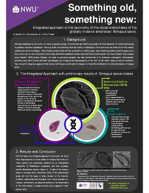 Poster 138