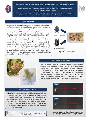 Poster 123
