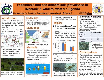 Poster 27