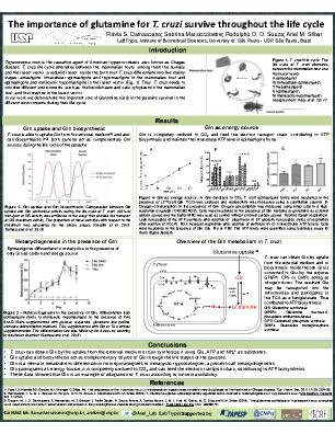Poster 66