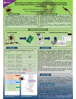 Poster 120