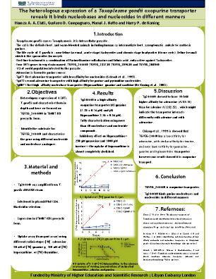 Poster 65