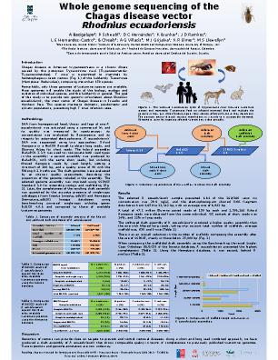 Poster 68
