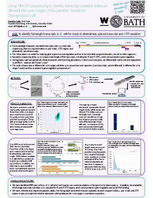 Poster 116