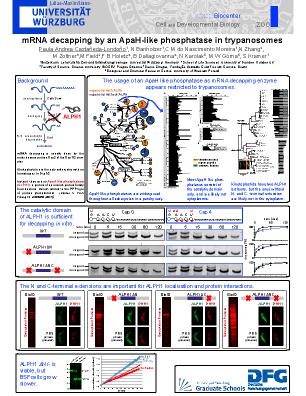 Poster 91