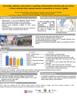 Poster 84