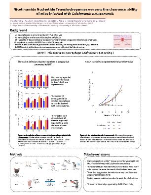 Poster 12