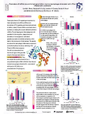 Poster 13