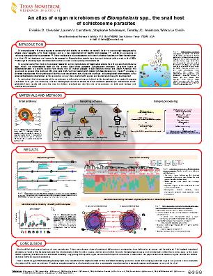 Poster 137