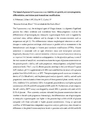 Poster 13