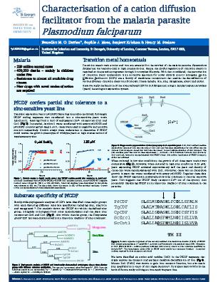 Poster 10