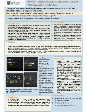 Poster 19