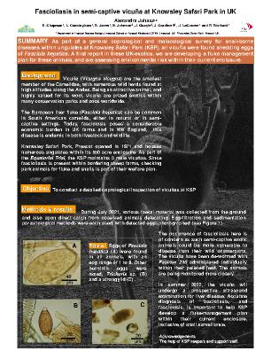 Poster 26