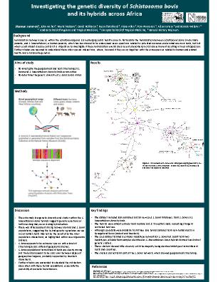 Poster 23