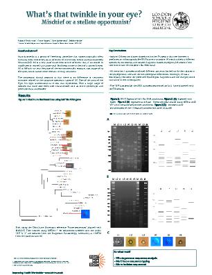Poster 30