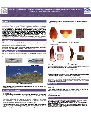 Poster 2