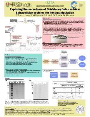 Poster 32