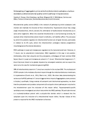 Poster 29