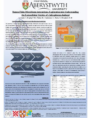 Poster 96