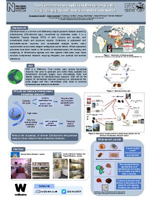 Poster 17