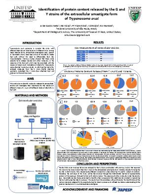 Poster 91