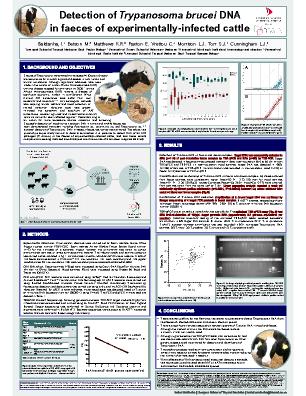 Poster 89